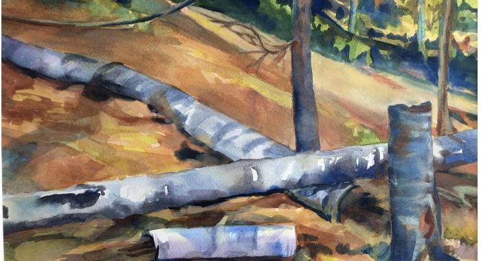 A watercolor painting of fallen birches in sunlight.
