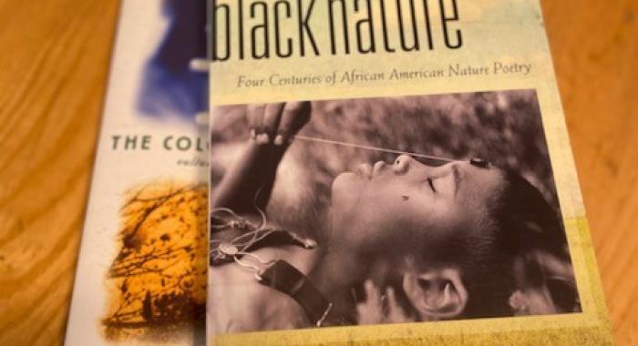 The covers of two books, including "black nature" sit on a table.