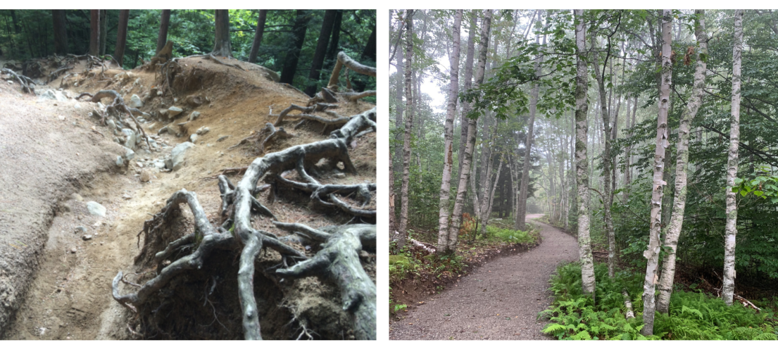 A photo showing the eroded section of trail vs. a sustainably built trail.