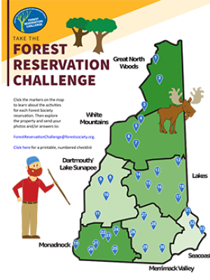 Forest Reservation Challenge game board