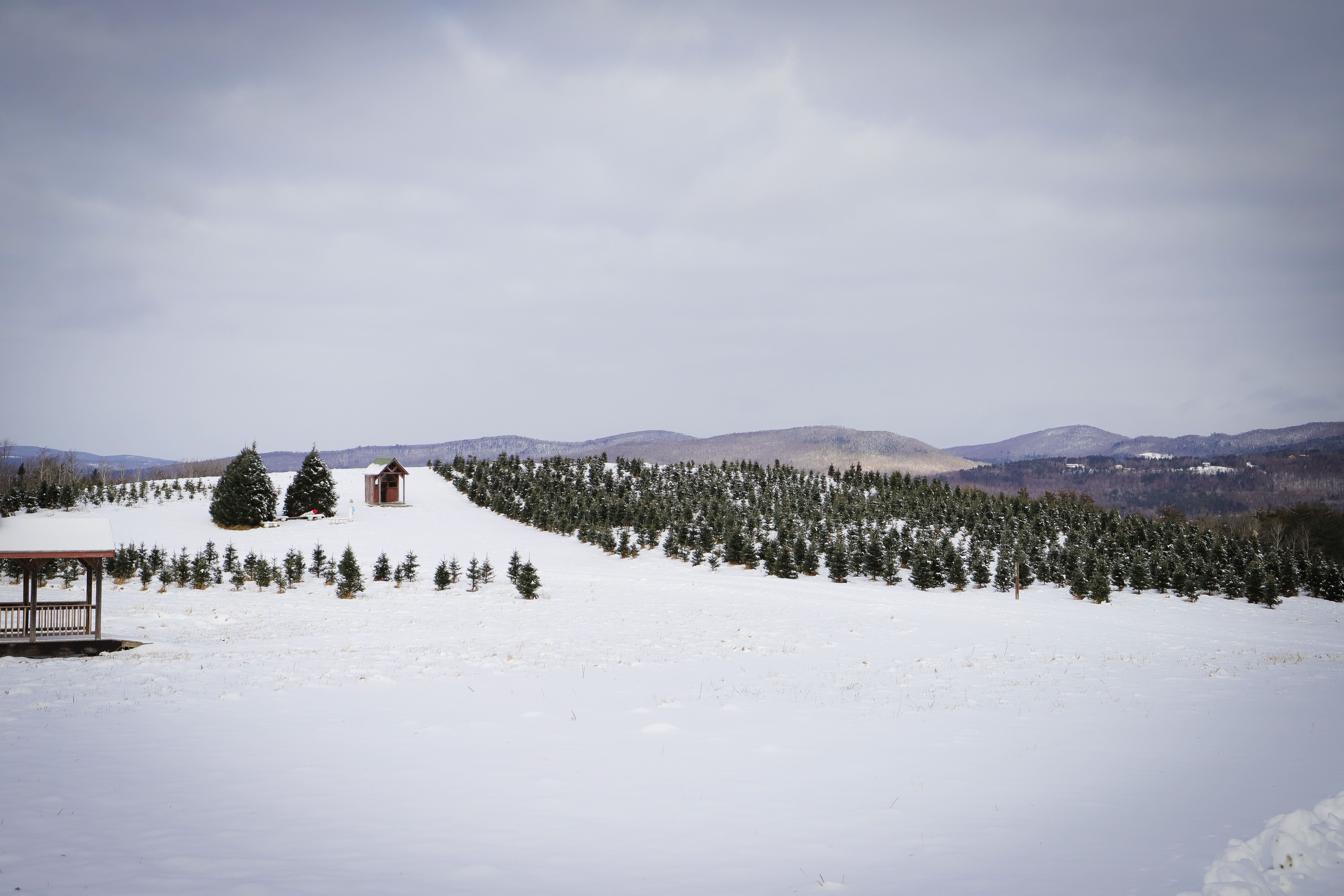 Winter views of the fields at The Rocks.