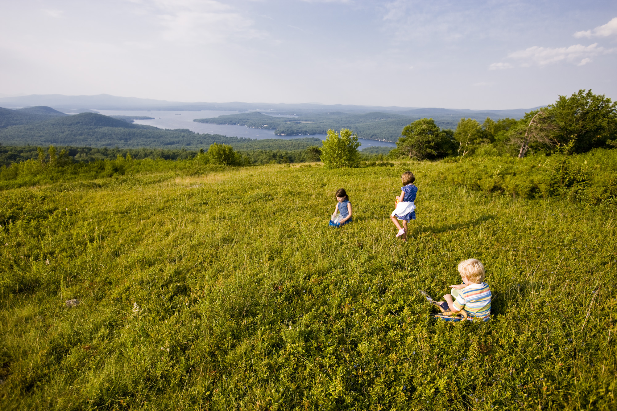 Three children are picking blueberries at the summit of Pine Mountain and views of the Belknap Range.