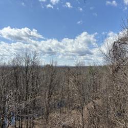 Spring views from the Conservation Center in Concord.