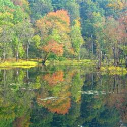 Fall foliage on the floodplain is reflected on the Merrimack River.