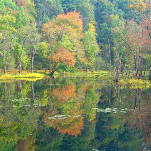 Fall foliage on the floodplain is reflected on the Merrimack River.