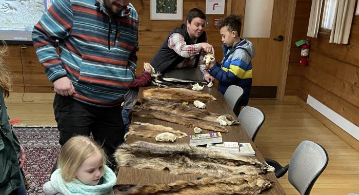 Kids look at beaver pelts during a program on beavers.