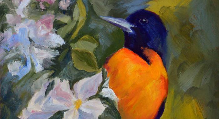 An oil painting of a Baltimore oriole by Mimi Wiggin.