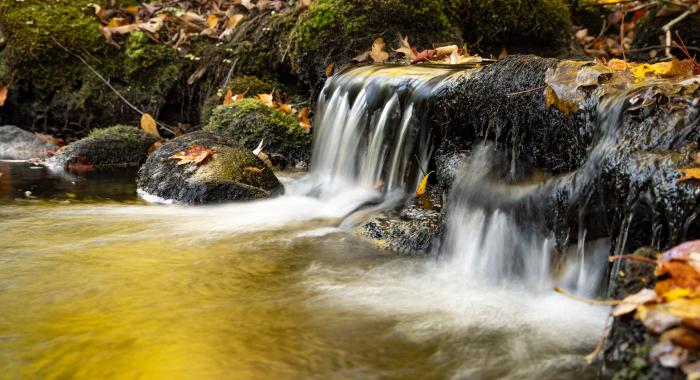 A waterfall in fall at Deepwood Forest.