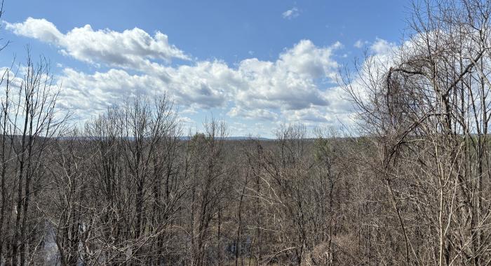 Spring views from the Conservation Center in Concord.