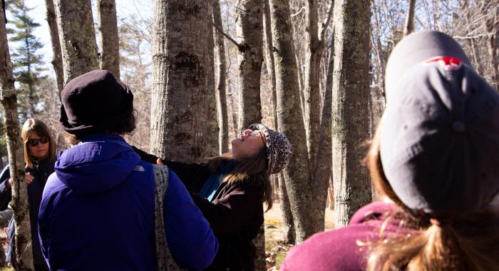 A group of women looks up into the tree tops while another woman speaks to the group.
