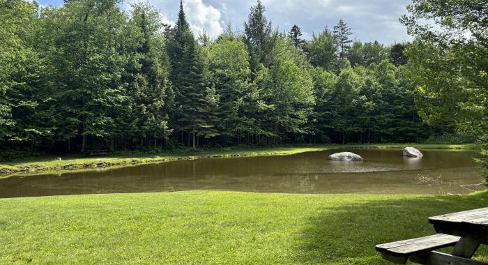 A picnic table next to a small pond in the forest.