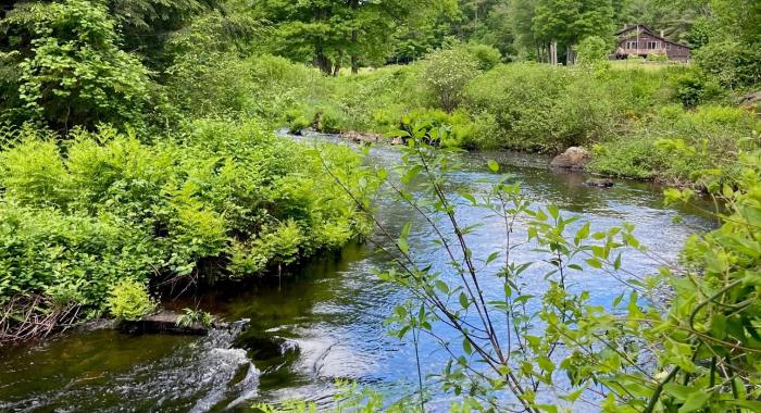 A view of Lane River in spring as it flows through South Sutton.
