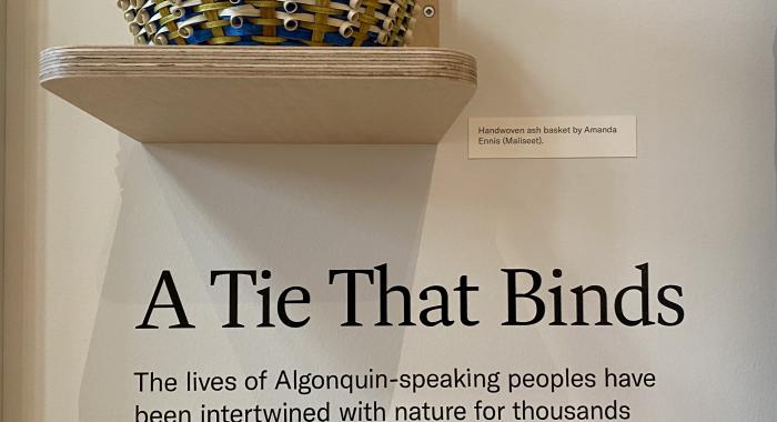 A handwoven basket made by Amanda Ennis is on display.