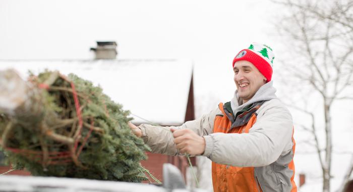 A snowy backdrop as a smiling person loads a Christmas tree on the baler