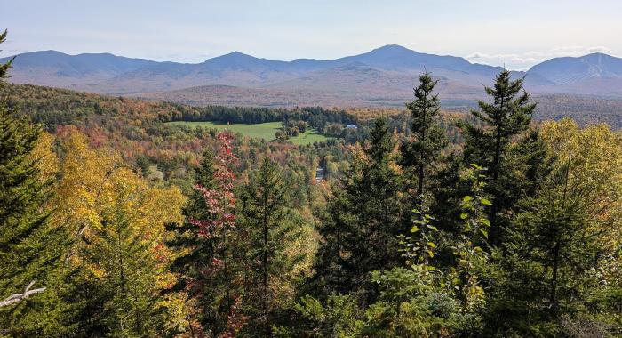 Fall views from Johnson-Clark forest.