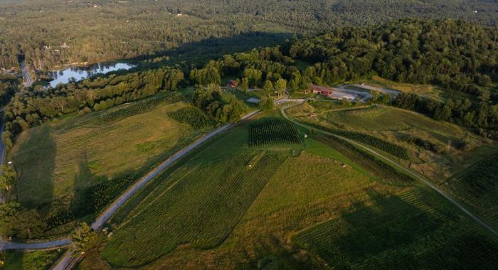 A bird's eye view of the property.