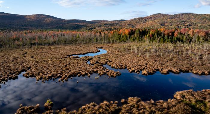 Campton Bog as seen from above.