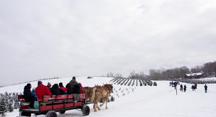 A red wagon pulled by two horses moving across a snow covered road towards a barn. 