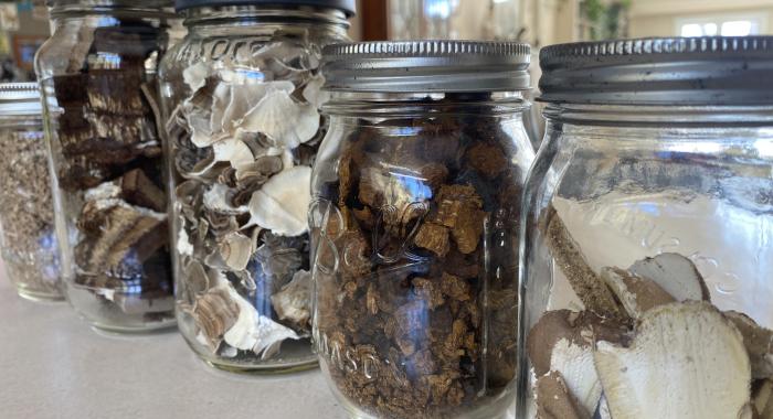 Four mason jars filled with a variety of dried mushrooms
