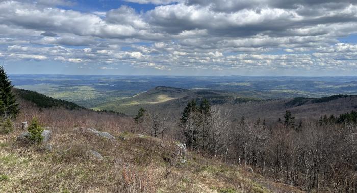 View from a mountaintop with blue skies and leafless trees