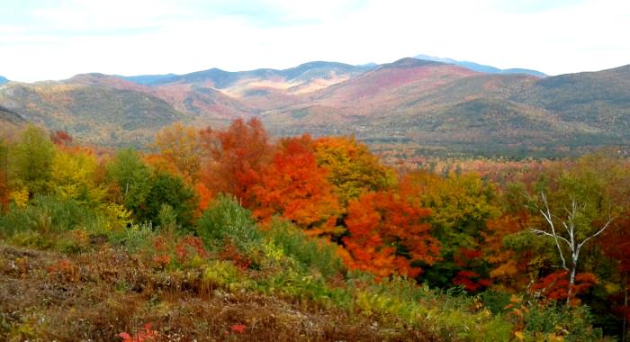 Glenn Coppelman photo fall scene