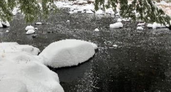 A small patch of open water among snow covered rocks in a stream with overhanging evergreen boughs.