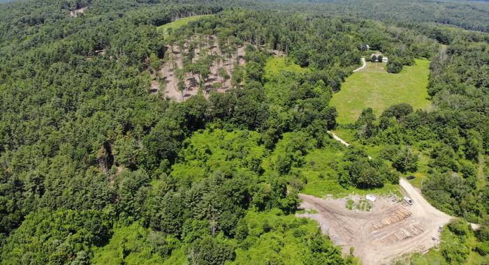 aerial image of active forestry project Heald Tract