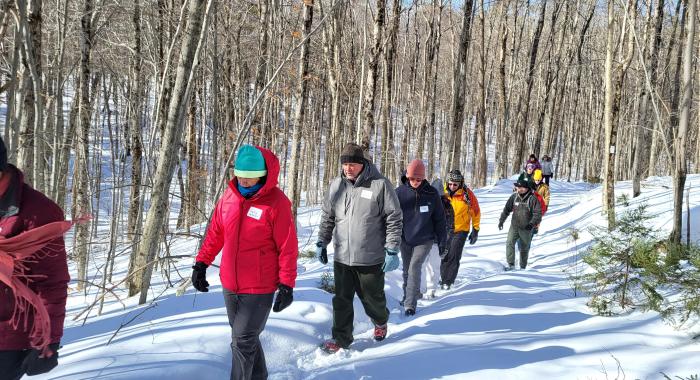 walking the the forest on a snowy day