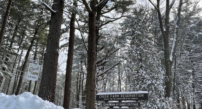 Creek Farm entrance in winter