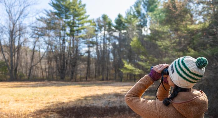 Birding