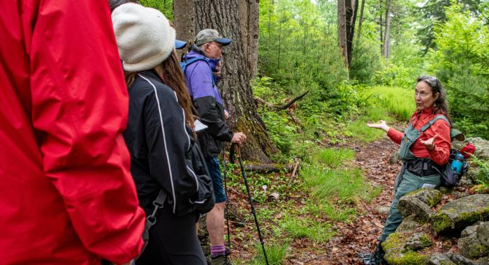 Wildflower walk with Ginny