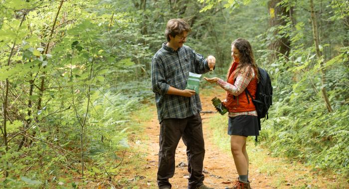 Hikers
