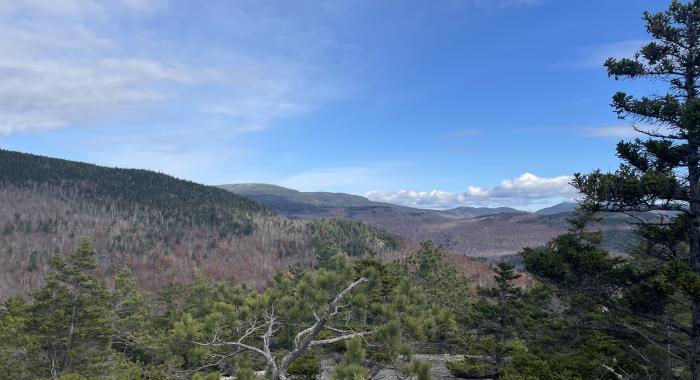 View from Bald Cap Peak