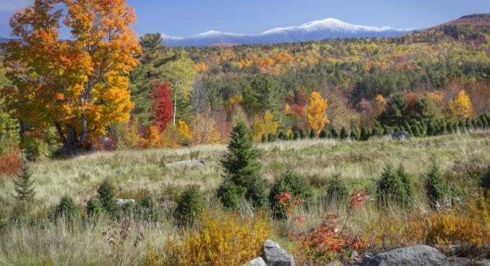 Fall at The Rocks