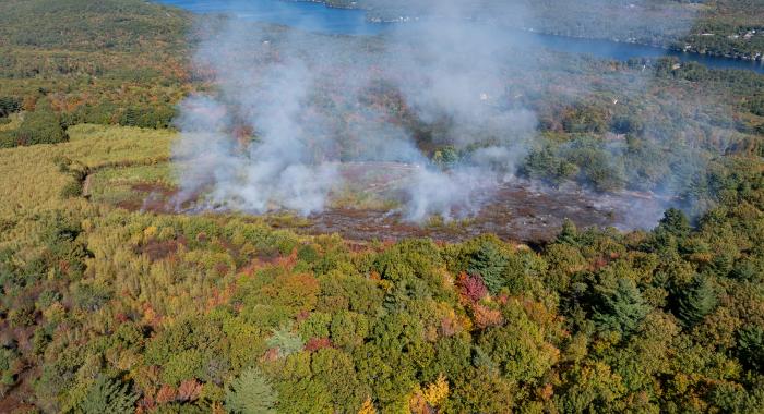 Morse Preserve burn