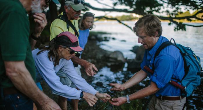 Getting hands on with estuary botany