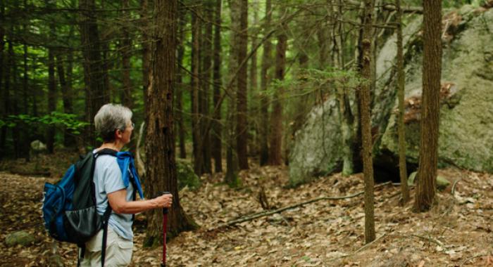 Hiker takes in the view of large boulders on the trail