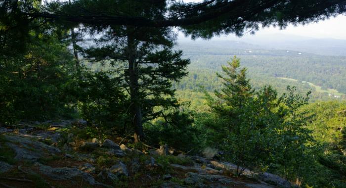 A view from Black Mountain.