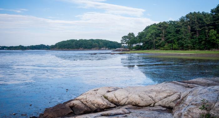 A view of the water from Creek Farm.