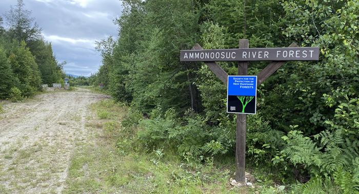 The sign at the access road at Ammonoosuc River Forest. (Photo: Carrie Deegan)