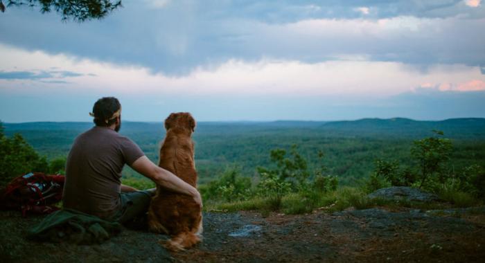 A hiker and dog on the summit of Pheobe's Nable Mountain at Moose Mountains Reservation