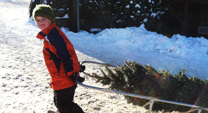 Volunteers of all ages pitch in for Christmas at the Rocks