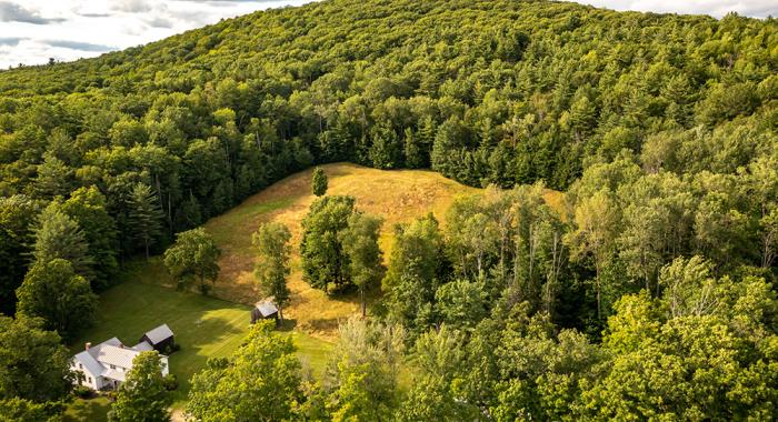 A view from above the Cole conservation easement in Cornish.