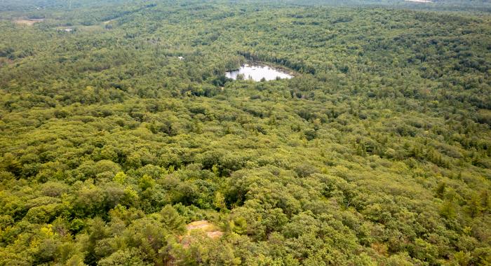 A bird's-eye view of the property from above.