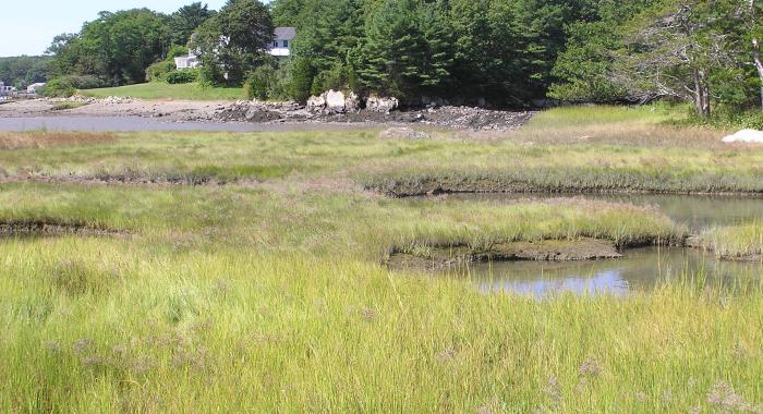 A view from Creek Farm in Portsmouth.