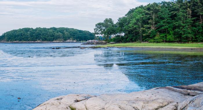 The waterfront at Creek Farm. Photo by Kate Wilcox.