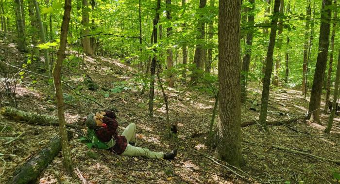 A forester looks up with binoculars.