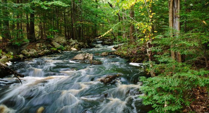 Stream in the Merrimack River watershed that feeds Tower Hill Pond, providing drinking water