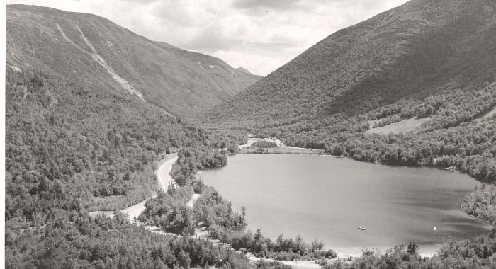A black and white view of the forested White Mountains overlooking Echo Lake.