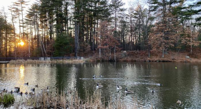 The sun sets behind Doors Pond in the early afternoon on a December day.